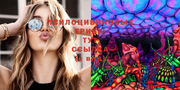 прущая мука Алзамай