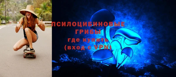 прущая мука Алзамай