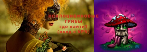 молекула духа Алексеевка
