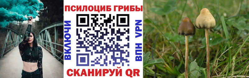 сколько стоит  Завитинск  Псилоцибиновые грибы мухоморы 